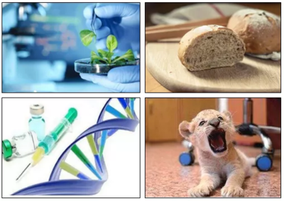 生物技術(shù)專業(yè) 尋找上帝隱藏的彩蛋，解鎖進(jìn)化的秘密與生物產(chǎn)品研發(fā)