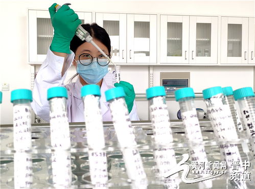 創(chuàng)新突破！全省首家動(dòng)物疫病診斷試劑順利通過GMP認(rèn)證，生物醫(yī)藥研發(fā)再上新臺(tái)階