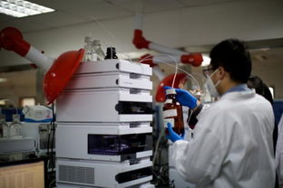 上海 中國生物醫(yī)藥創(chuàng)新的核心引擎