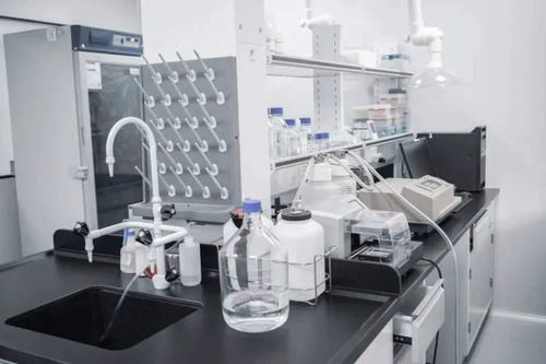 持續(xù)突破，精準(zhǔn)制導(dǎo) 詩健生物的創(chuàng)新之旅與ADC藥物研發(fā)新篇