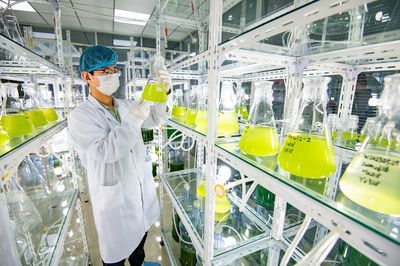 德州地福來生物科技 以研發為核，以推廣為翼，微藻沃土十萬頃
